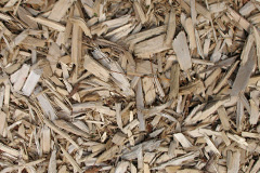biomass boilers Branstone
